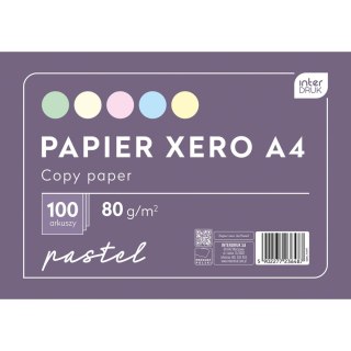 Papier kolorowy Interdruk A4 mix (PAKSA4PASTEL) Interdruk