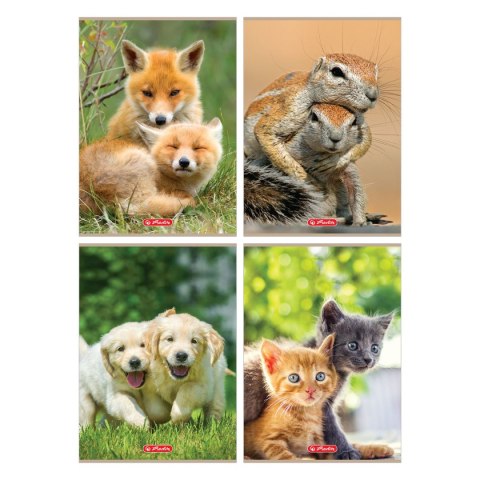 Zeszyt Herlitz Animals 9583089 A4 32k. 70g krata (400197964) Herlitz Zeszyt Herlitz Animals 9583089 A4 32k. 70g krata (400197964) Herlitz