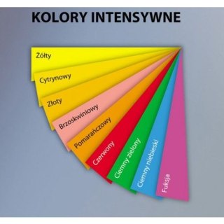 Papier kolorowy Emerson 4051 A4 zielony ciemny 80g (xem408052) Emerson