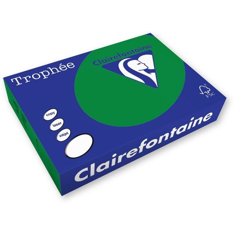 Papier kolorowy Trophee kolorowy A4 zielony choinkowy 160g (xca41019) Trophee