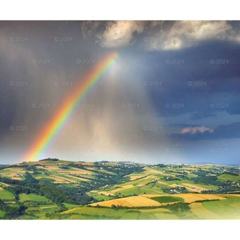 Kalendarz ścienny Lucrum MAGICZNA POLSKA 13-planszowe 2024 320mm x 470mm (RW02) Lucrum Kalendarz ścienny Lucrum MAGICZNA POLSKA 13-planszowe 2024 320mm x 470mm (RW02) Lucrum