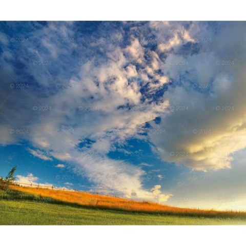 Kalendarz ścienny Lucrum MAGICZNA POLSKA 13-planszowe 2024 320mm x 470mm (RW02) Lucrum Kalendarz ścienny Lucrum MAGICZNA POLSKA 13-planszowe 2024 320mm x 470mm (RW02) Lucrum