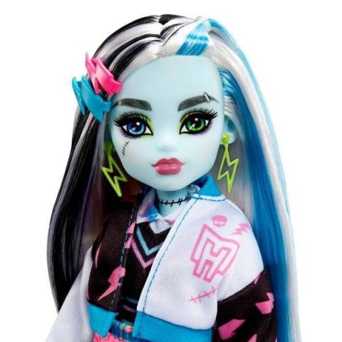 Lalka Mattel Monster High podstawowa (HPD53) Mattel