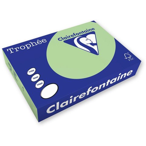 Papier kolorowy Trophee kolorowy A4 zielony 80g (xca41777) Trophee