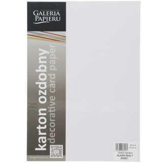 Papier ozdobny (wizytówkowy) Galeria Papieru gładki biały A4 biały 160g (202821) Galeria Papieru