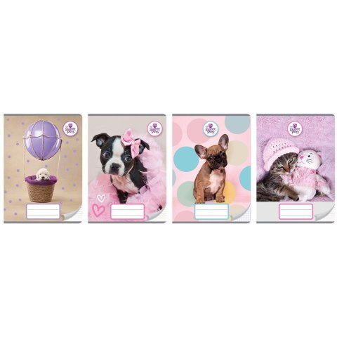 Zeszyt Beniamin THE SWEET PETS A5 16k. trzy linie (2689) Beniamin