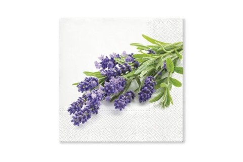 Serwetki Paw Lavender Bunch mix bibuła [mm:] 330x330 (TL702200) Paw