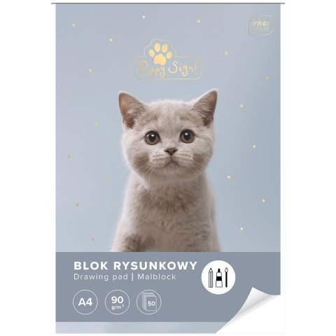 Blok rysunkowy Interdruk bloki A4 biały 90g 50k Interdruk Blok rysunkowy Interdruk bloki A4 biały 90g 50k Interdruk