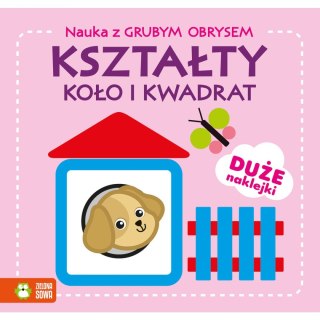 Książeczka edukacyjna Zielona Sowa Nauka z grubym obrysem. Kształty. Koło i kwadrat Zielona Sowa