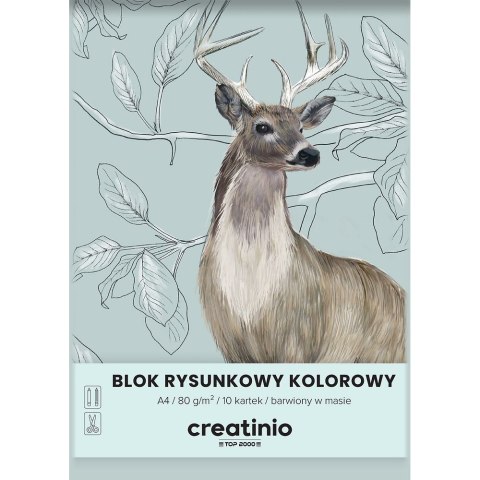 Blok rysunkowy Top 2000 A4 kolorowy 80g 10k (400176665) Top 2000