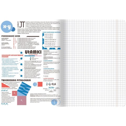 Zeszyt TOP-2000 matematyka A5 60k. 70g kratka (400169455) TOP-2000