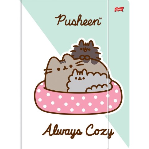 Teczka kartonowa na gumkę Pusheen A4 różne Unipap Unipap