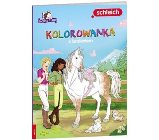 Książka dla dzieci Ameet Horse Club. Kolorowanka z brokatem (GCA 8401) Ameet