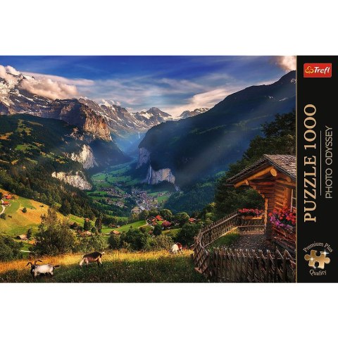 Puzzle Trefl Premium Plus 1000 el. (10821) Trefl