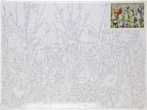 Zestaw kreatywny Flamingo Line Malowanie po numerach 30x40cm Ptaszki (FSY180) Flamingo Line