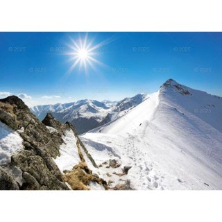 Kalendarz ścienny TATRY Lucrum rodzinny 2025 280mm x 400mm (WL05) Lucrum