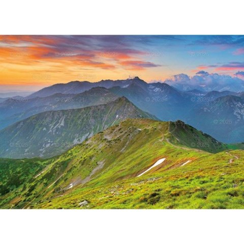 Kalendarz ścienny TATRY Lucrum rodzinny 2025 280mm x 400mm (WL05) Lucrum