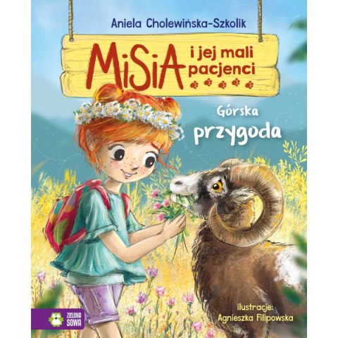 Gra planszowa Zielona Sowa Misia i jej mali pacjenci Górska przygoda Zielona Sowa Gra planszowa Zielona Sowa Misia i jej mali pacjenci Górska przygoda Zielona Sowa