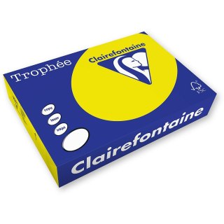 Papier kolorowy Trophee A4 słoneczny 210g (2210) Trophee