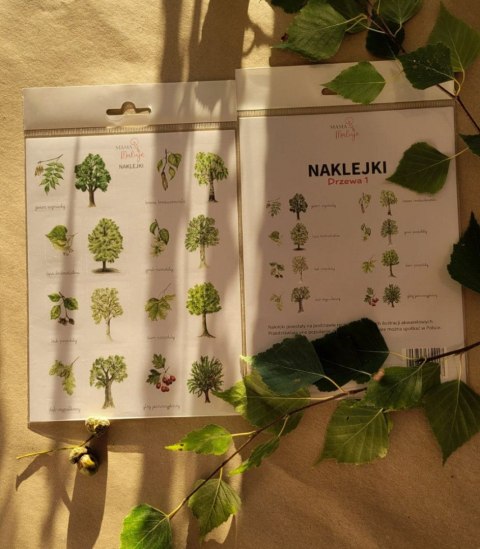 Naklejka (nalepka) Drzewa 1 Naklejka (nalepka) Drzewa 1