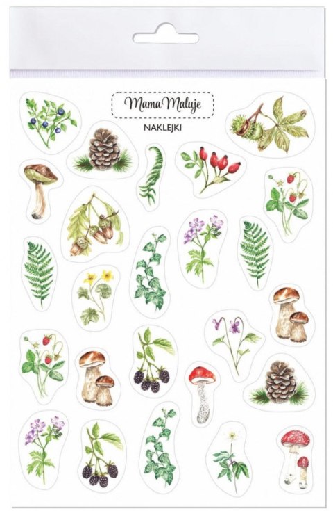 Naklejka (nalepka) leśne botaniczne Naklejka (nalepka) leśne botaniczne