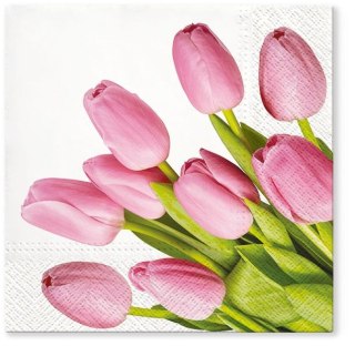 Serwetki Paw Lovely Tulips mix bibuła [mm:] 330x330 (TL703600) Paw