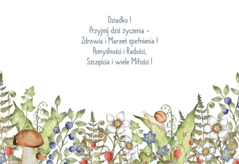 Kartka składana Henry Karnet B6 BiDZ LAS DZIADEK B6 (5905701487592) Henry Kartka składana Henry Karnet B6 BiDZ LAS DZIADEK B6 (5905701487592) Henry