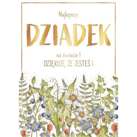 Kartka składana Henry Karnet B6 BiDZ LAS DZIADEK B6 (5905701487592) Henry Kartka składana Henry Karnet B6 BiDZ LAS DZIADEK B6 (5905701487592) Henry