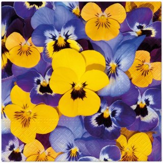 Serwetki Paw TaT Looking Pansies mix bibuła [mm:] 330x330 (TL126500) Paw