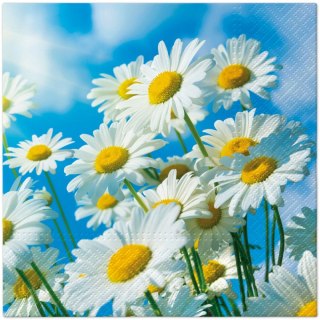 Serwetki Paw TaT Sun Daisies mix bibuła [mm:] 330x330 (TL126600) Paw