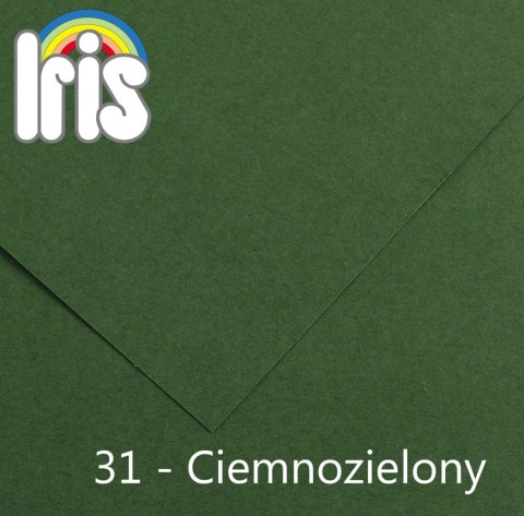 Brystol Canson Iris 31 zielony ciemny 150g 25k [mm:] 500x650 (200040470) Canson