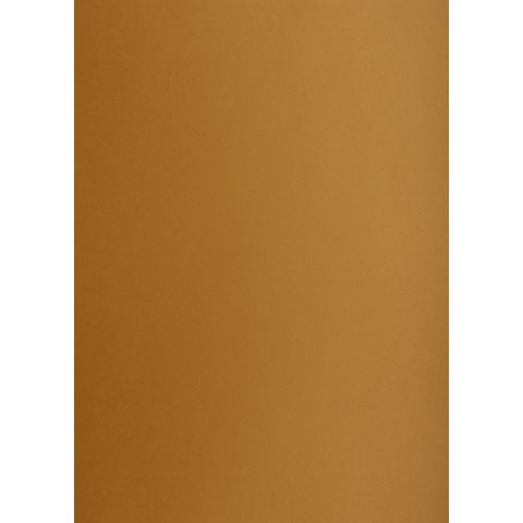 Brystol TOP-2000 brązowy A1 brązowy 160g 25k [mm:] 610x860 (400149528) TOP-2000