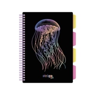 Kołozeszyt (kołobrulion) Strigo PADS GŁEBINY MEDUZA B5 100k. 80g krata (PADS062) Strigo