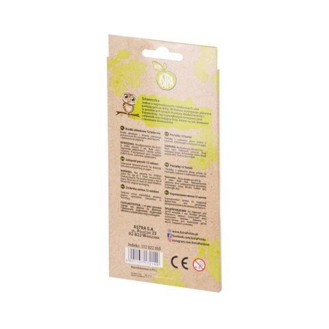 Kredki akwarelowe Astra ECO z drewna cedrowego (312022050) Astra Kredki akwarelowe Astra ECO z drewna cedrowego (312022050) Astra