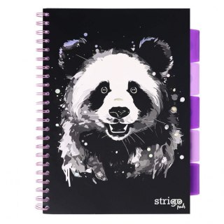Kołozeszyt (kołobrulion) Strigo ANIMALS panda A4 100k. 80g linia (PADS093) Strigo