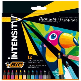 Flamaster Bic flamstry 12 kol. (977891) Bic