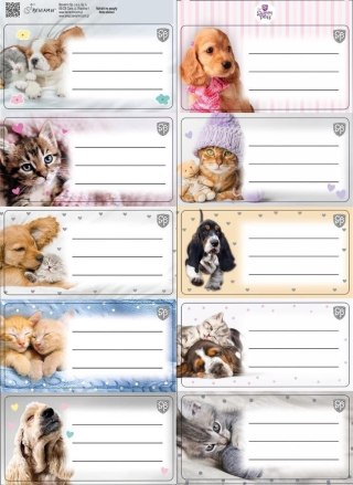 Naklejka na zeszyt Beniamin The Sweet Pets kids Beniamin