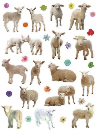 Naklejka (nalepka) Titanum Craft-Fun Series Sheep Titanum