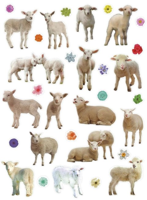Naklejka (nalepka) Titanum Craft-Fun Series Sheep Titanum Naklejka (nalepka) Titanum Craft-Fun Series Sheep Titanum