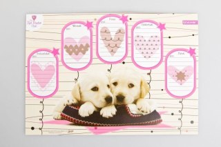 Plan lekcji Beniamin Pet Poets Club z magnesem (600342) Beniamin