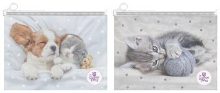 Teczka plastikowa The Sweet Pets 9839 Beniamin Beniamin