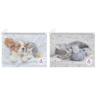 Teczka plastikowa The Sweet Pets 9839 Beniamin Beniamin