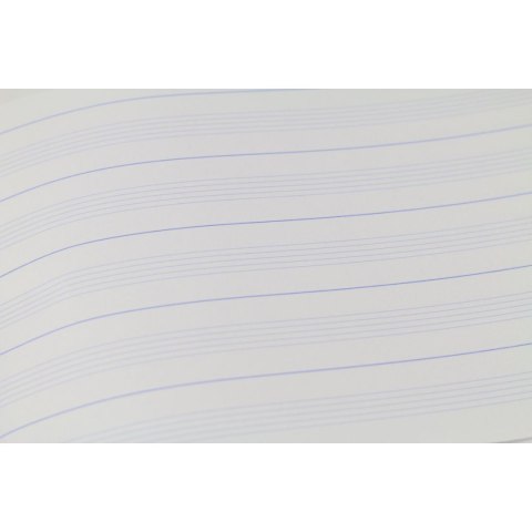 Zeszyt do nut Rexus A4 16k. 70g [mm:] 295x205 (607371) Rexus