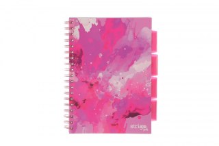 Kołozeszyt (kołobrulion) Strigo PROJECT BOOK FUSION B5 100k. 80g krata (PADS004) Strigo