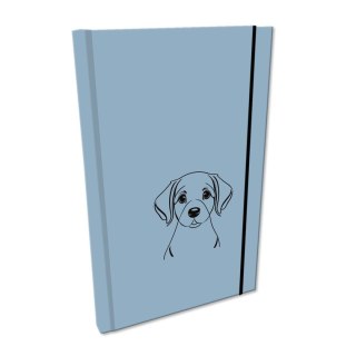 Notes Ev-corp (NA5GSTUVP L-02) Ev-corp