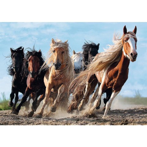 Puzzle Trefl Galopujące konie 1000 el. (10446) Trefl Puzzle Trefl Galopujące konie 1000 el. (10446) Trefl