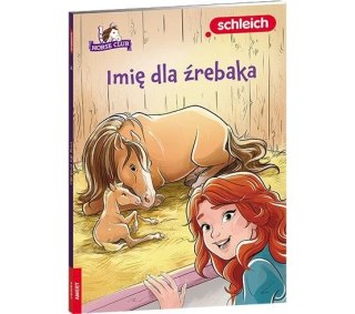 Książeczka edukacyjna Ameet HORSE CLUB. Imię dla źrebaka (LNR 8401) Ameet