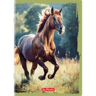 Zeszyt Herlitz Animals A5 16k. 70g gładki (400196854) Herlitz