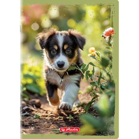 Zeszyt Herlitz Animals A5 16k. 70g gładki (400196854) Herlitz Zeszyt Herlitz Animals A5 16k. 70g gładki (400196854) Herlitz