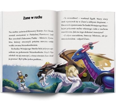 Książeczka edukacyjna Ameet LEGO® NINJAGO®. Moce i zdolności (LNR 6728) Ameet